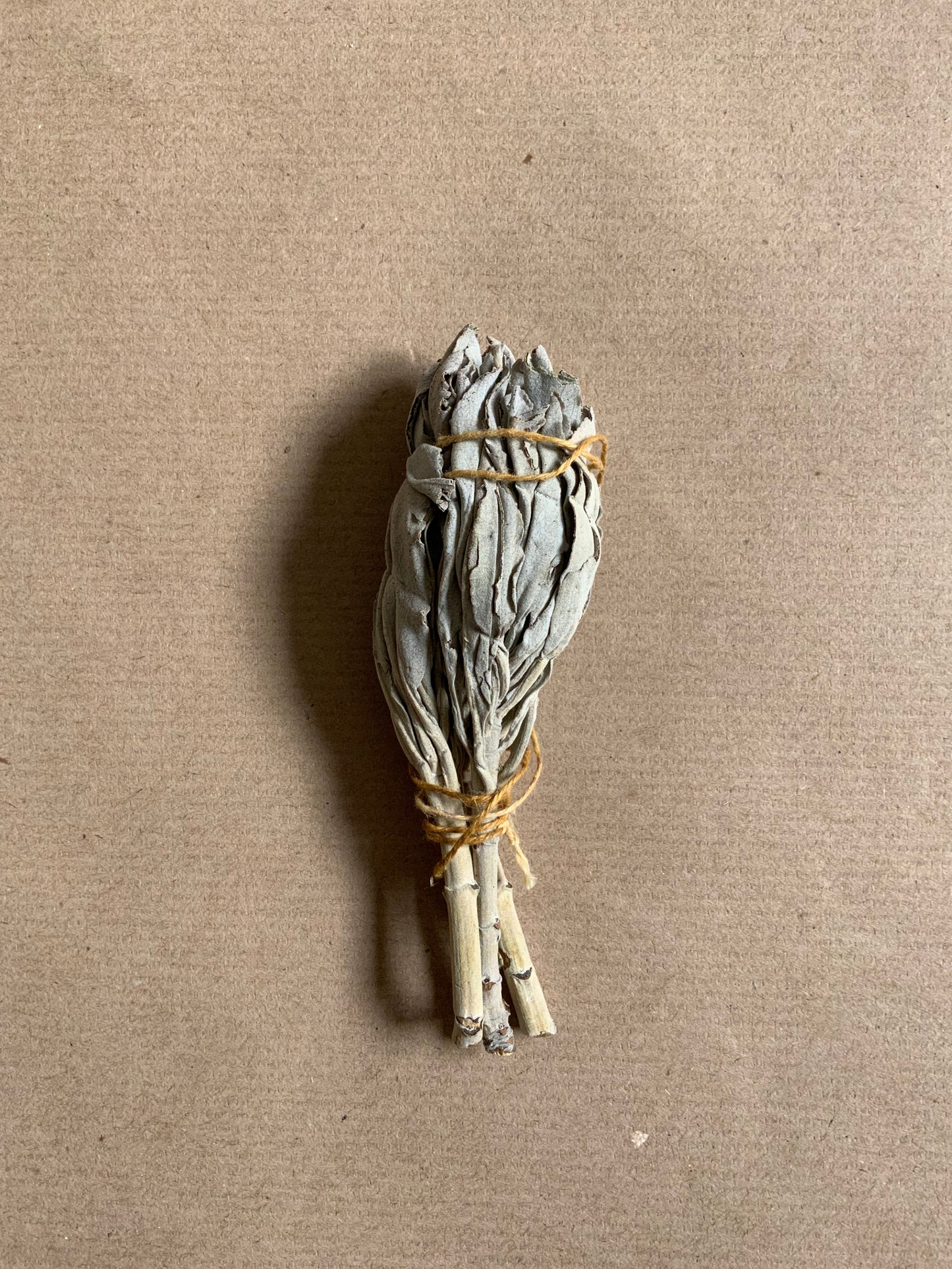 Tocha de Sálvia Branca